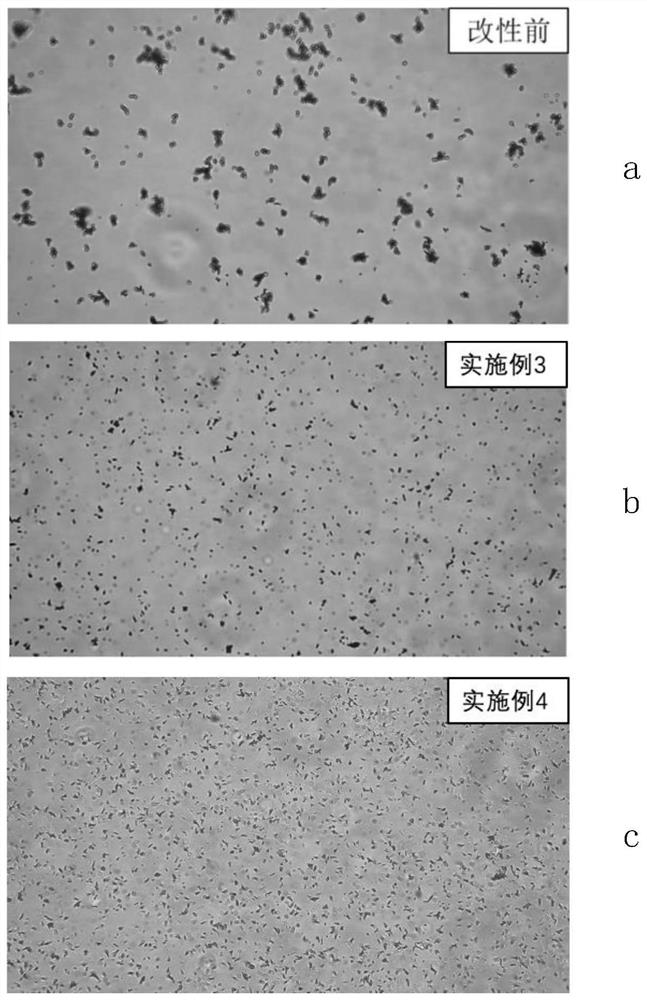 Preparation method of hydrophilic pigment