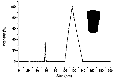 Bionics-based nano microstructure chip, endotoxin SERS quantitative detection system and method, and application