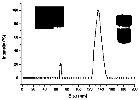 Bionics-based nano microstructure chip, endotoxin SERS quantitative detection system and method, and application