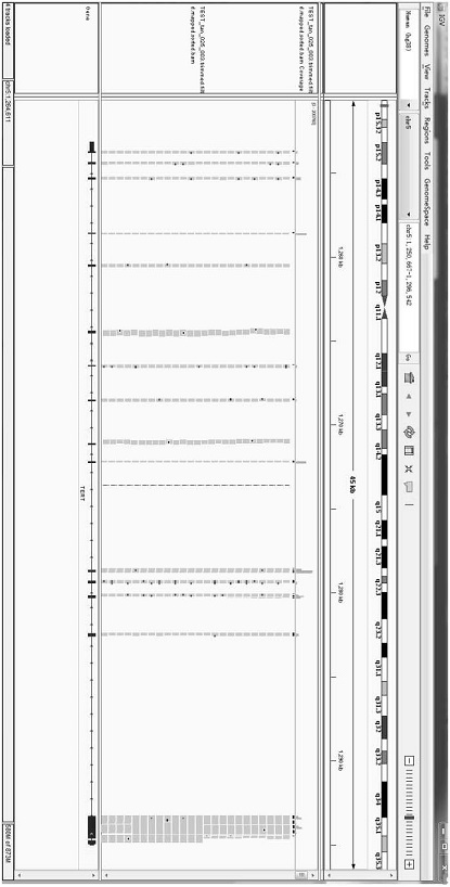 Multiplex PCR primer composition, reagent and control system for next-generation sequencing of whole exons of TERT gene