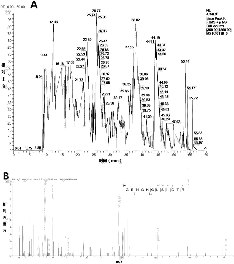 Mussel-sourced biological adhesive for stomach recovery and preparation method thereof