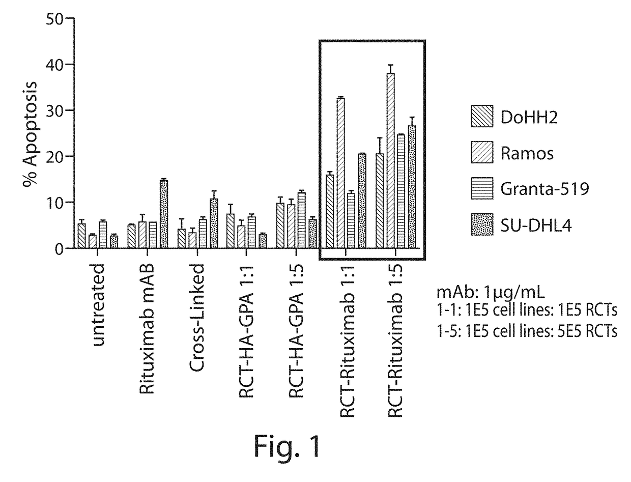 Compositions and methods related to cell systems for penetrating solid tumors