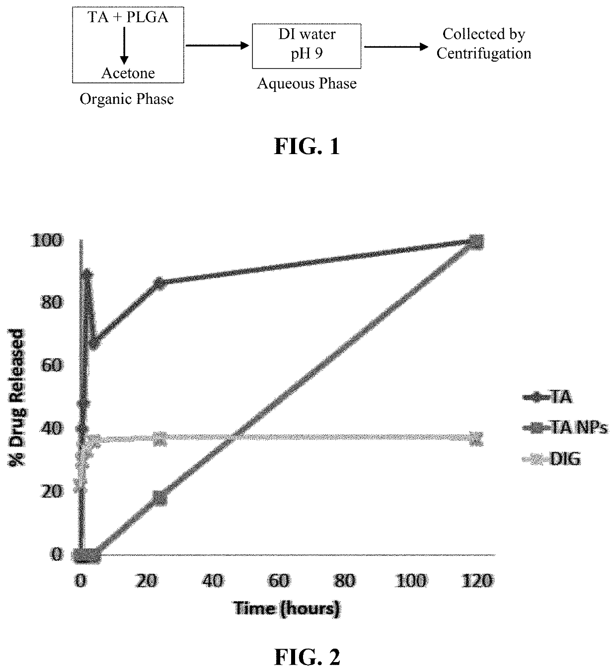 Nanoparticles for treatment of posterior segment ocular diseases and conditions