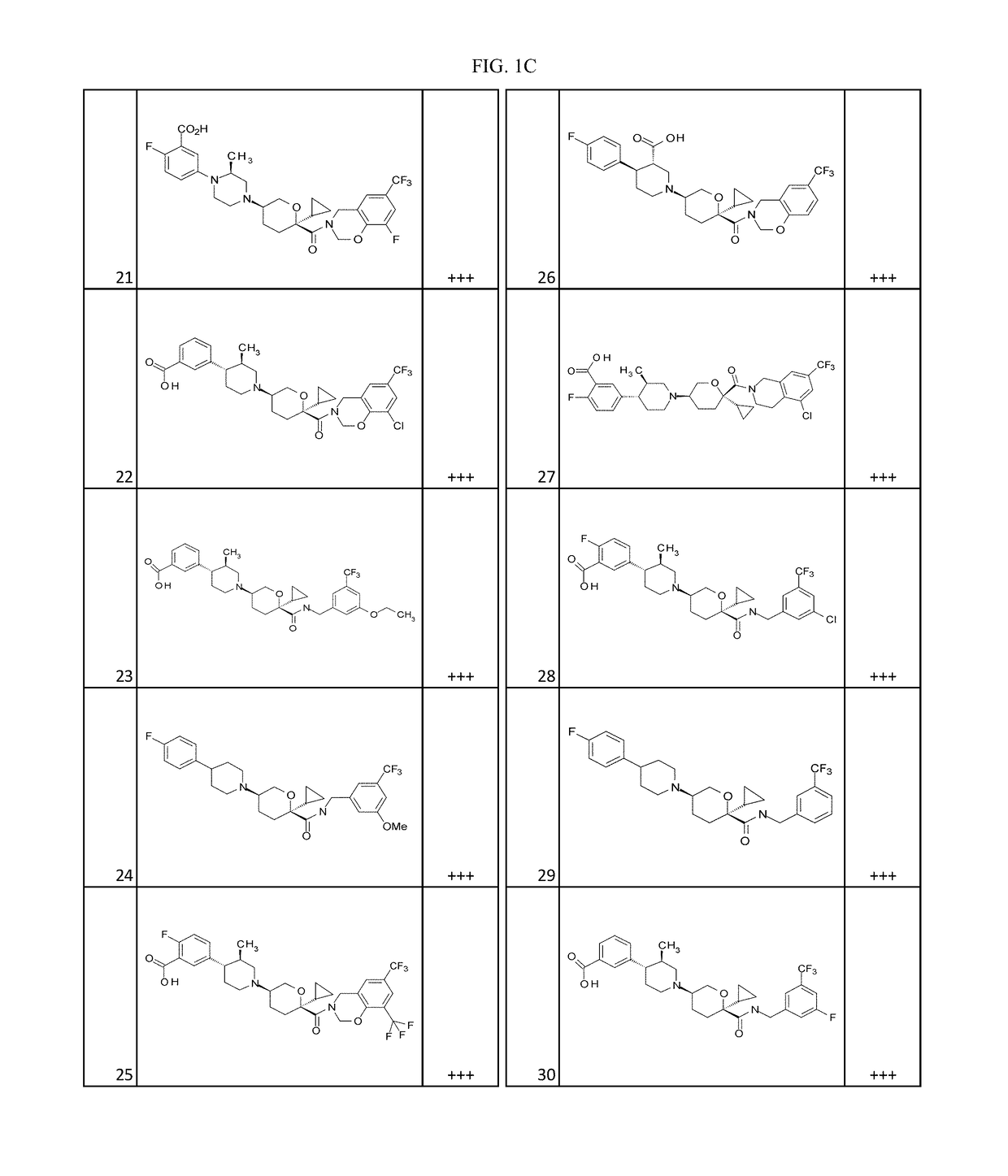 Substituted tetrahydropyrans as CCR2 modulators