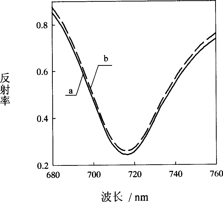 Method for raising surface plasma resonance sensor sensitivity by using nano gold grain catalytic growing