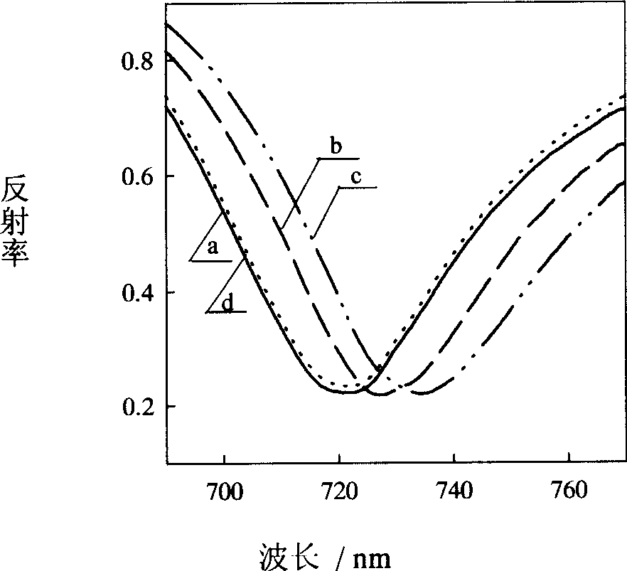 Method for raising surface plasma resonance sensor sensitivity by using nano gold grain catalytic growing