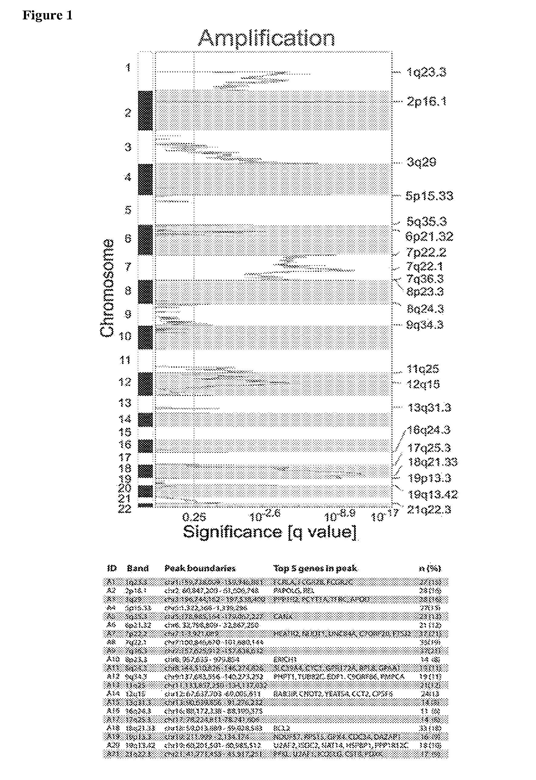 Compositions, Kits, and Methods for the Identification, Assessment, Prevention, and Therapy of Cancer