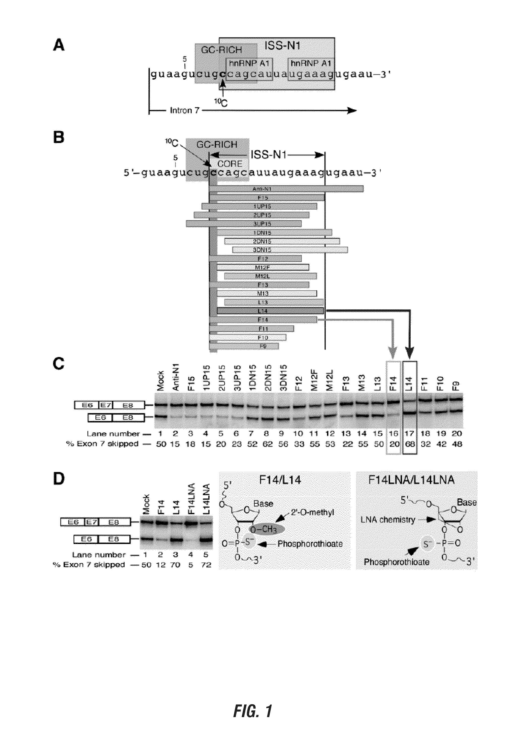 Spinal muscular atrophy treatment via targeting smn2 catalytic core