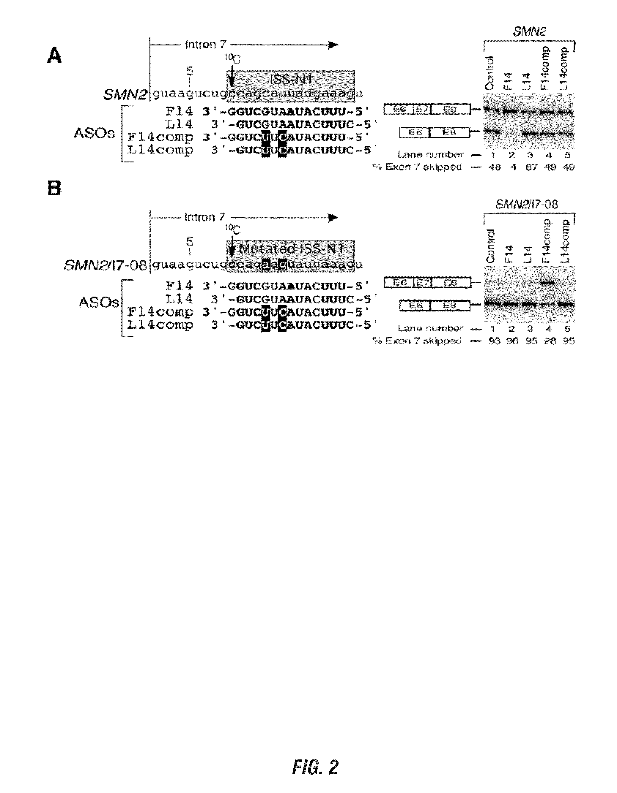 Spinal muscular atrophy treatment via targeting smn2 catalytic core