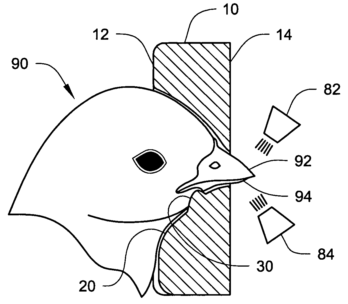 Beak treatment with tongue protection