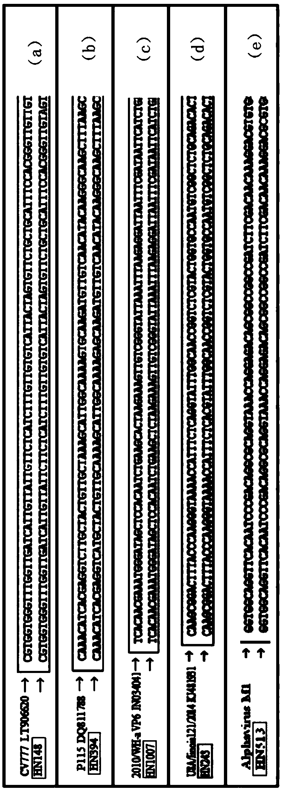 Method for simultaneously detecting multiple RT-PCR of GETV, PEDV, TGEV, PDCoV and PoRV