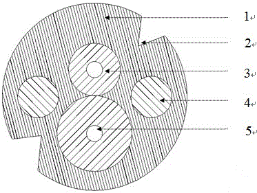 Double-core hidden leading-in optical cable