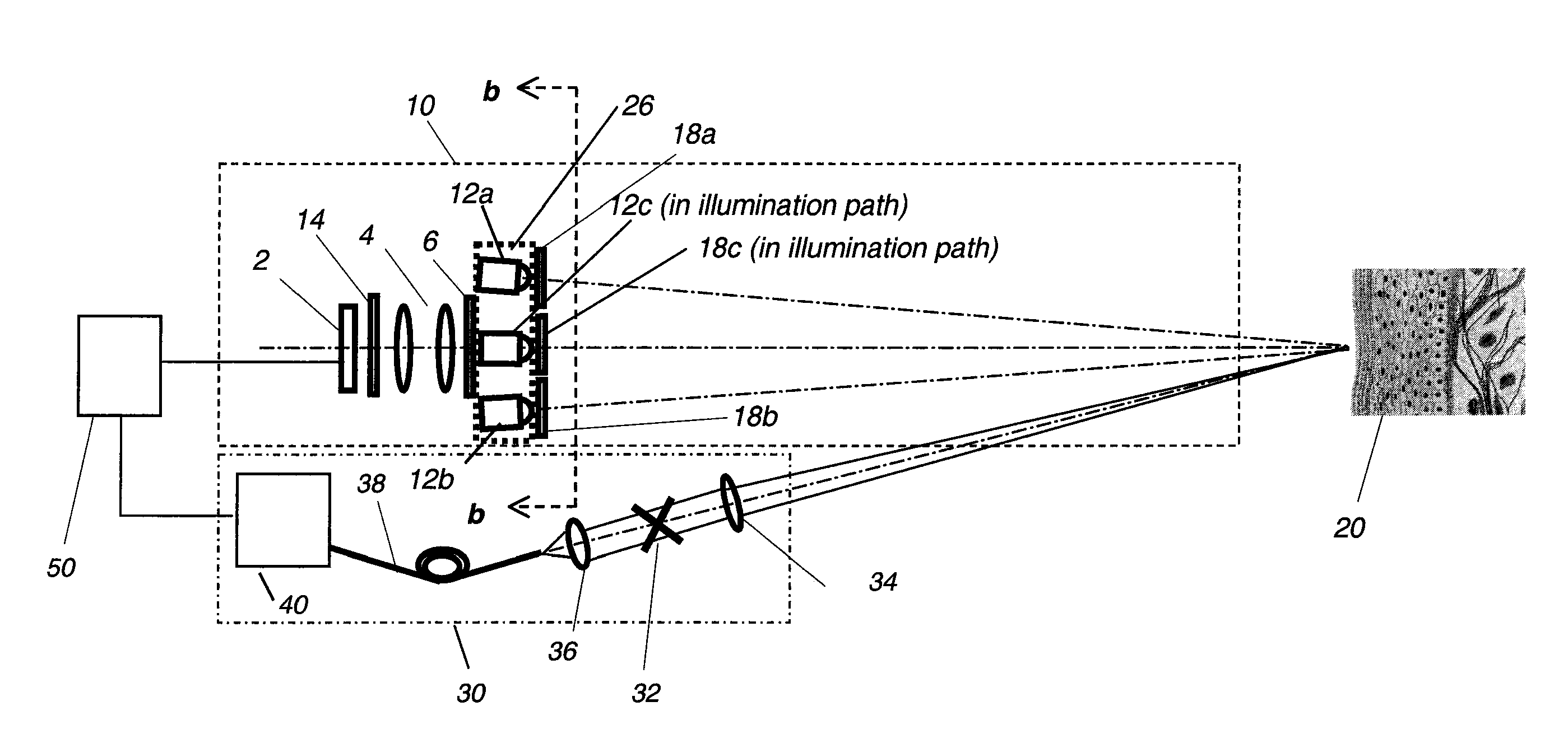 Multimodal imaging system for tissue imaging