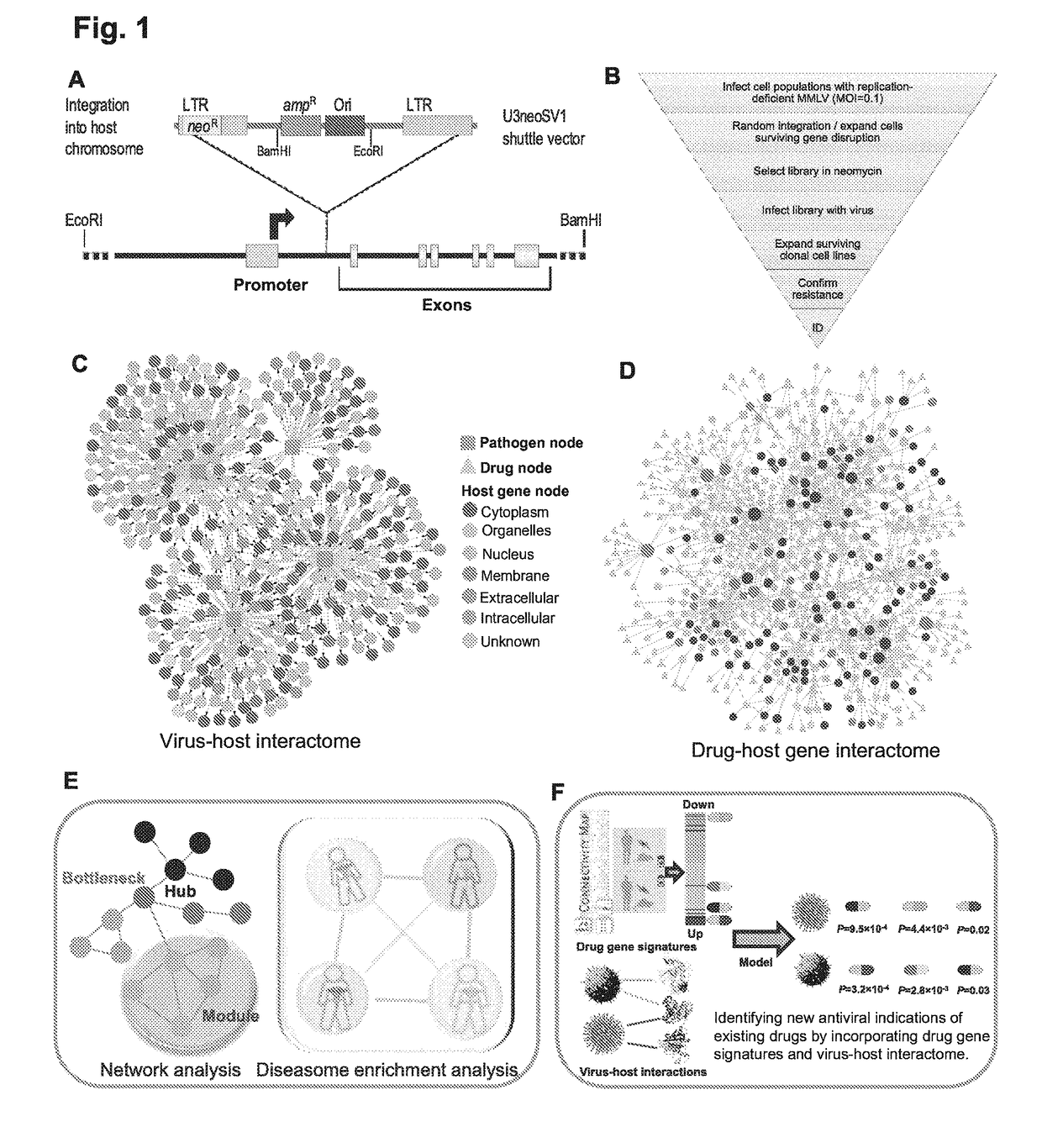 Identification of cellular antimicrobial drug tablets through interactome analysis