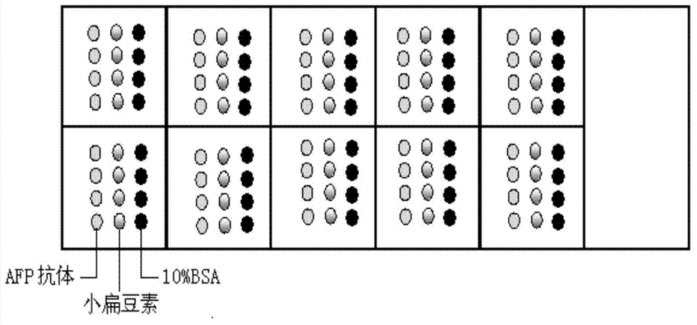 Chemiluminescent protein chip, kit and detection method for detection of fucose index of seroglycoid