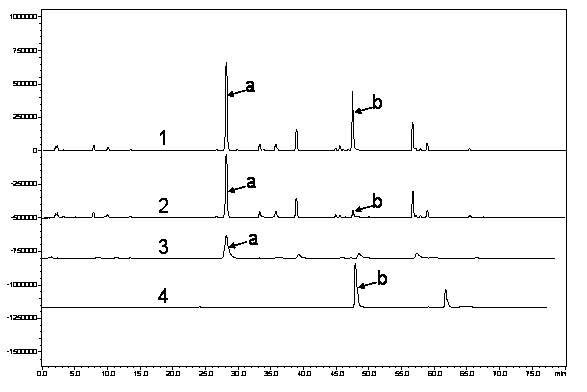 Method for extracting scutelloside and scutellarin from baikal skullcap root