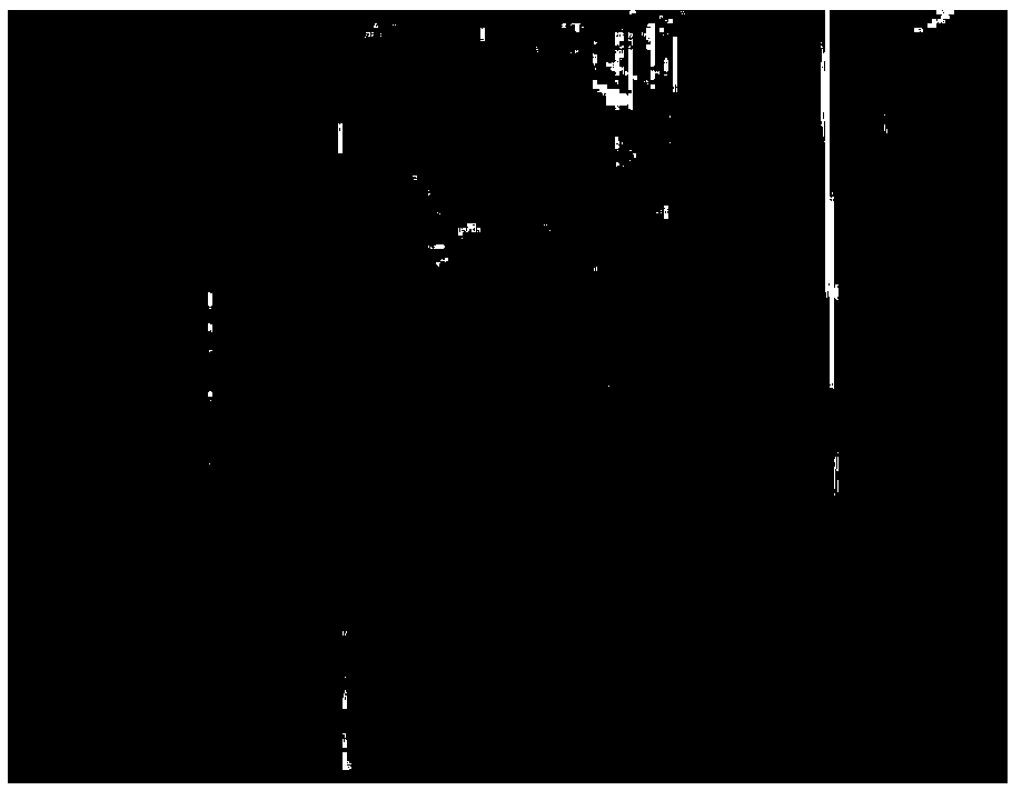 Nanometer-level and high-precision preparation method for cross section of IC product