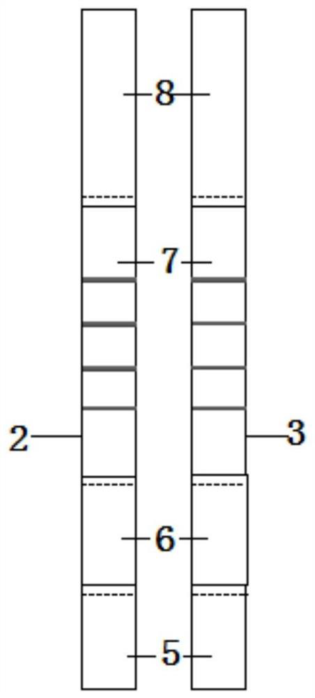 Combined detection card for simultaneously detecting specific IgM and IgG antibodies of ASFV as well as preparation method and application thereof