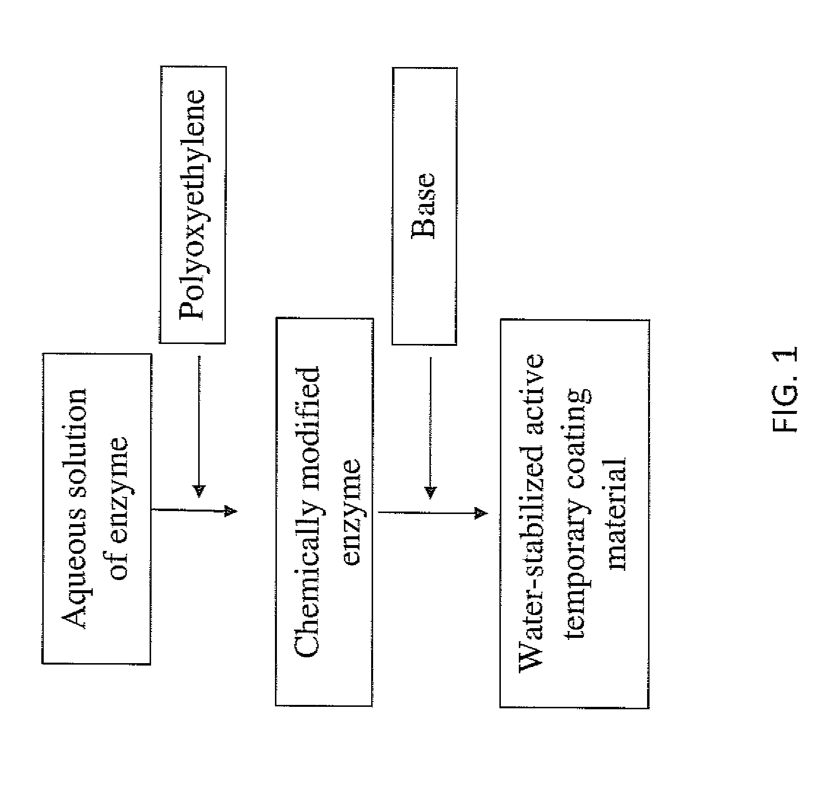 Coatings Containing Polymer Modified Enzyme For Stable Self-Cleaning Of Organic Stains