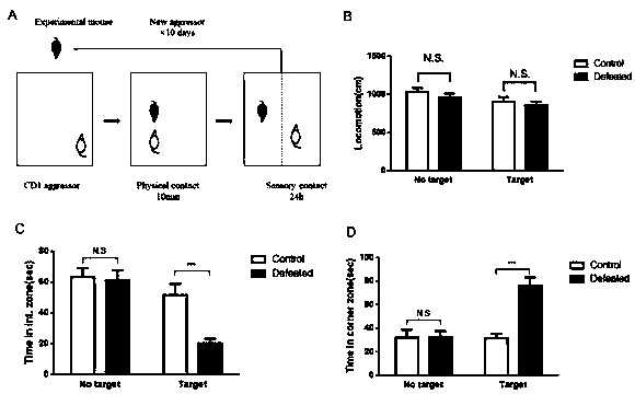 Detection, treatment and prognosis target of depression and applications