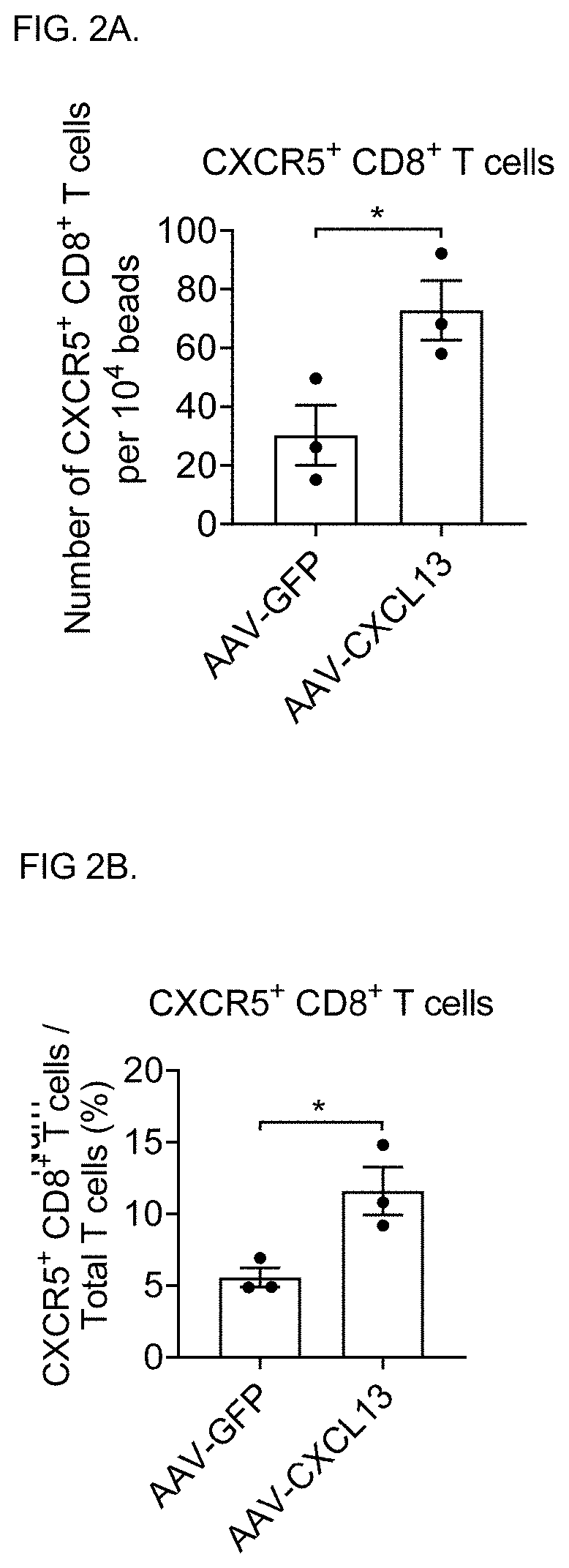 Use of cxcl13 binding molecules to promote peripheral nerve regeneration