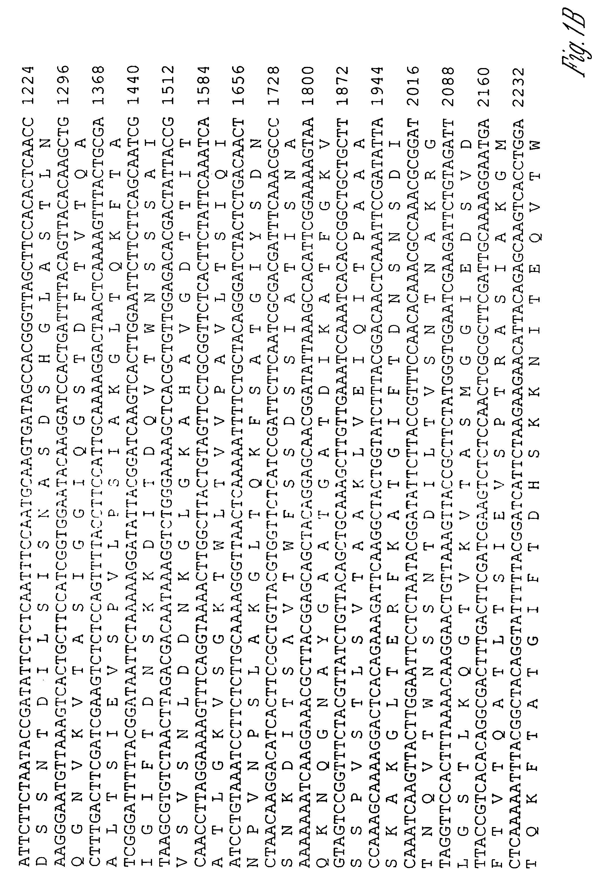 Novel immunogenic proteins of Leptospira