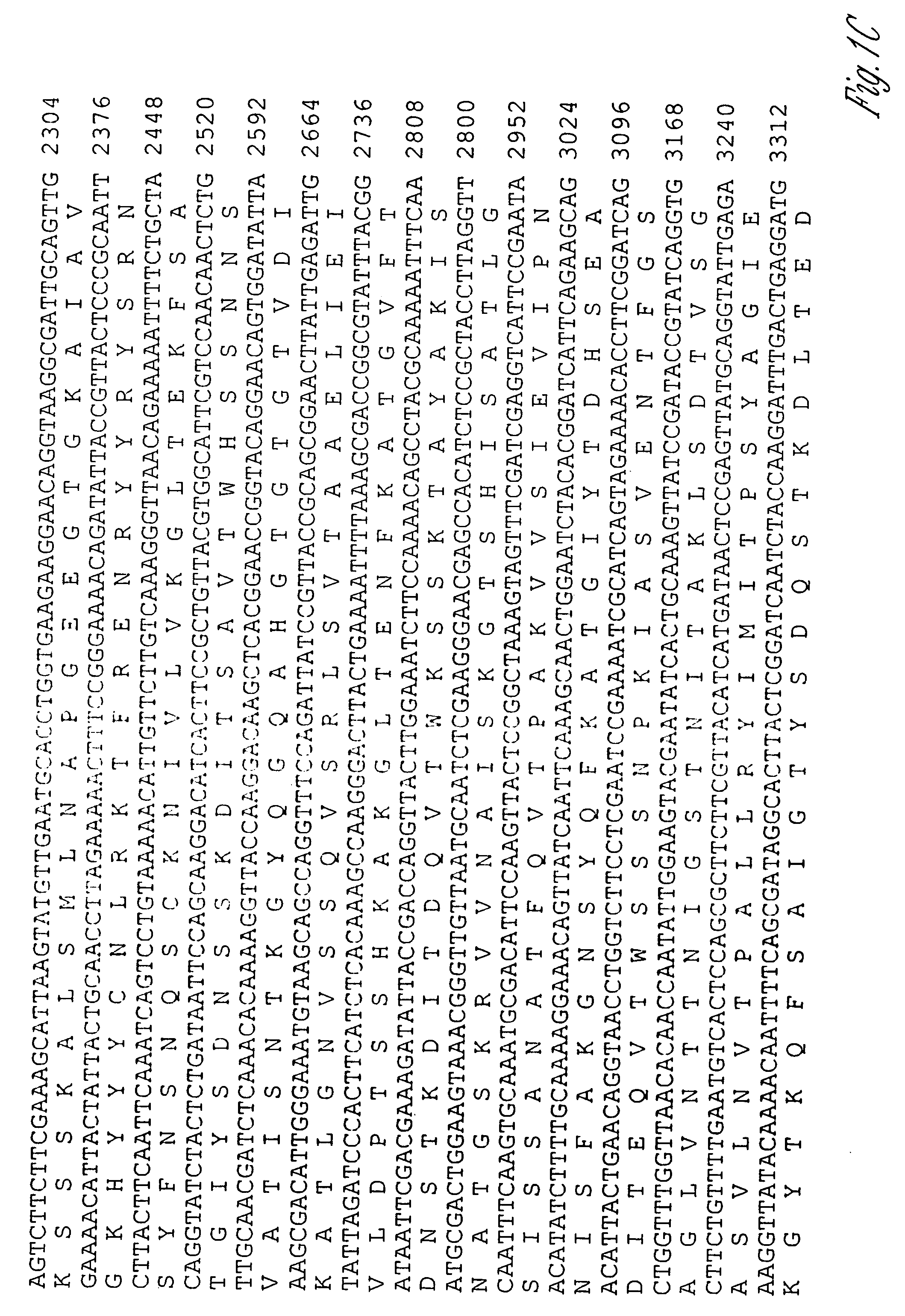 Novel immunogenic proteins of Leptospira