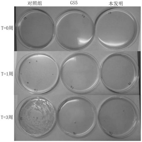 A kind of organosilicon quaternary ammonium antibacterial agent and preparation method thereof