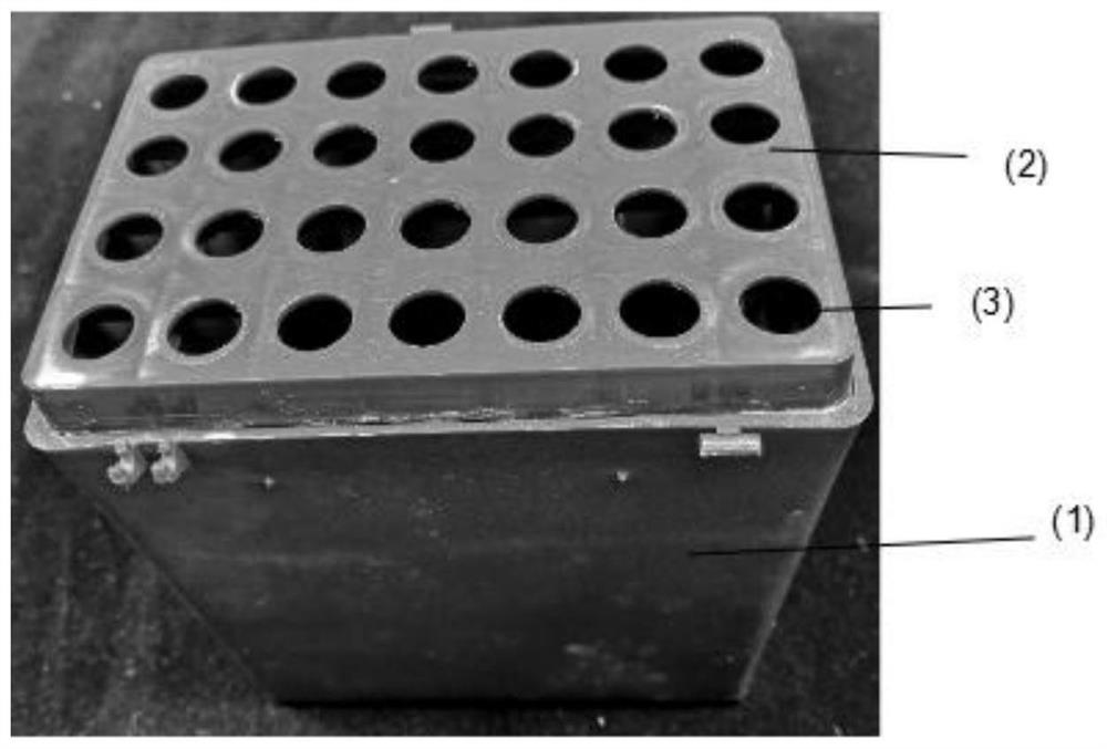 A kind of citrus seed accelerating germination device and water seedling cultivation method