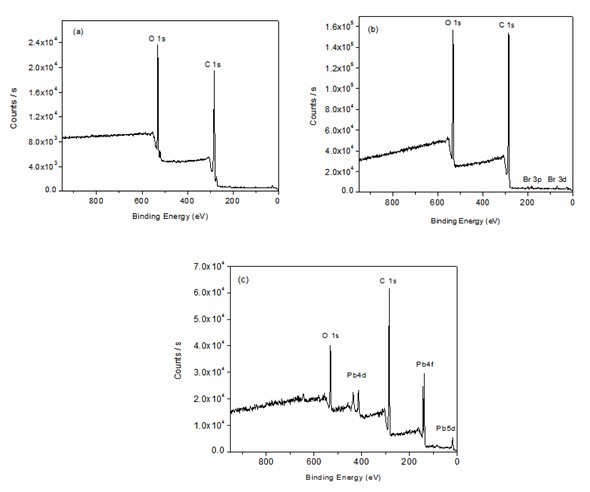 Preparation method for surface-grafted polyacrylic acid lead polyester film