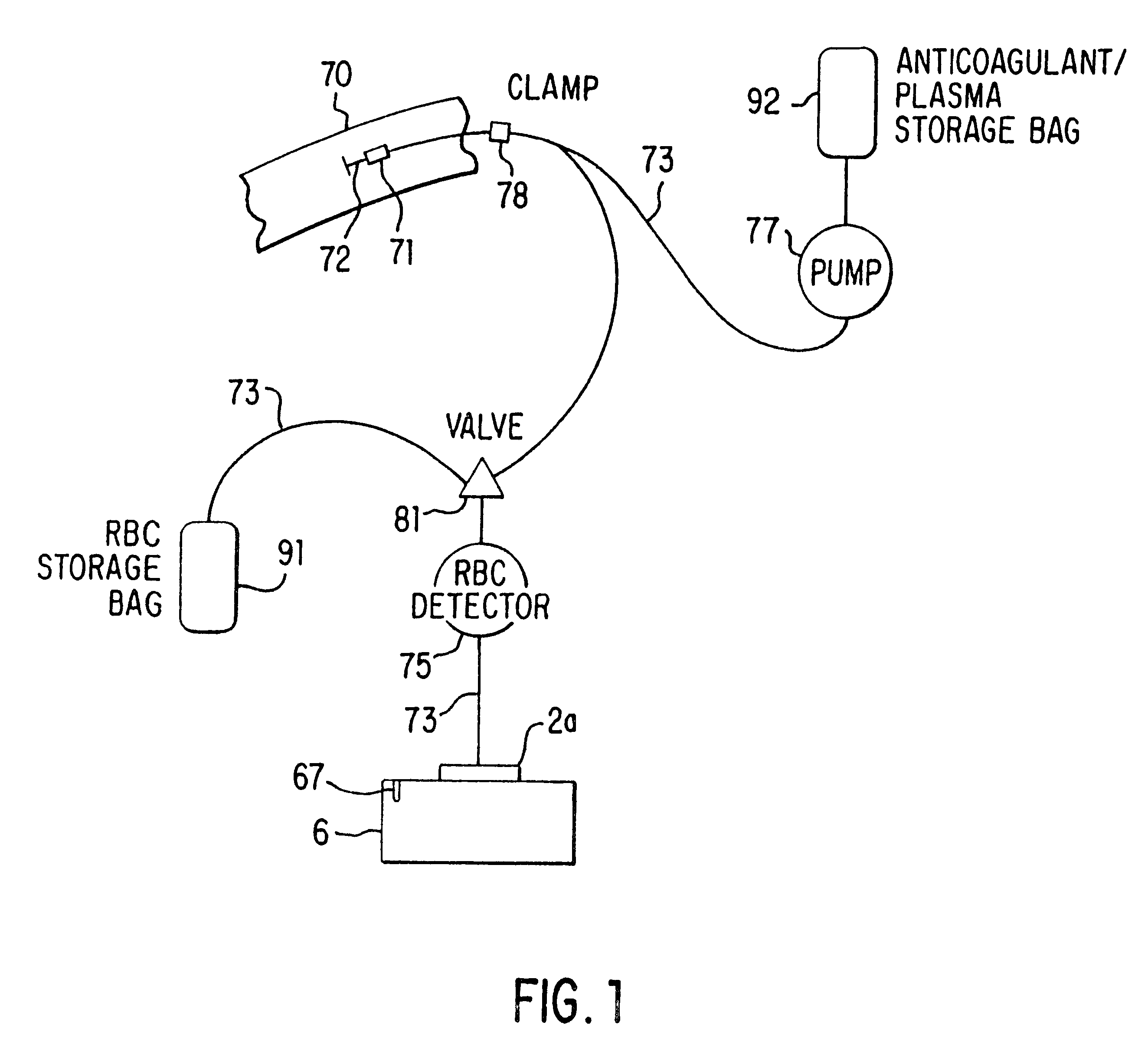 Blood collection and separation system