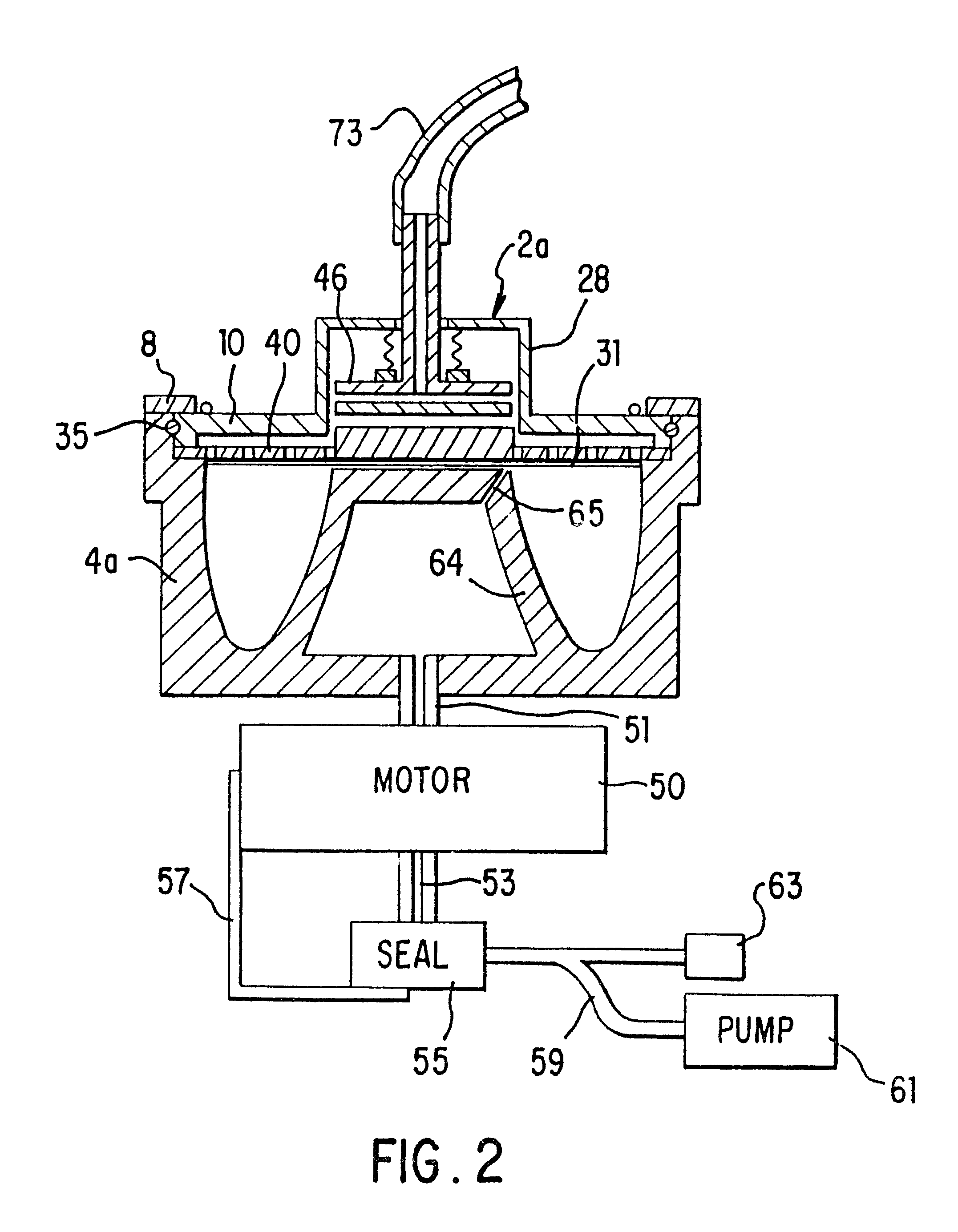 Blood collection and separation system