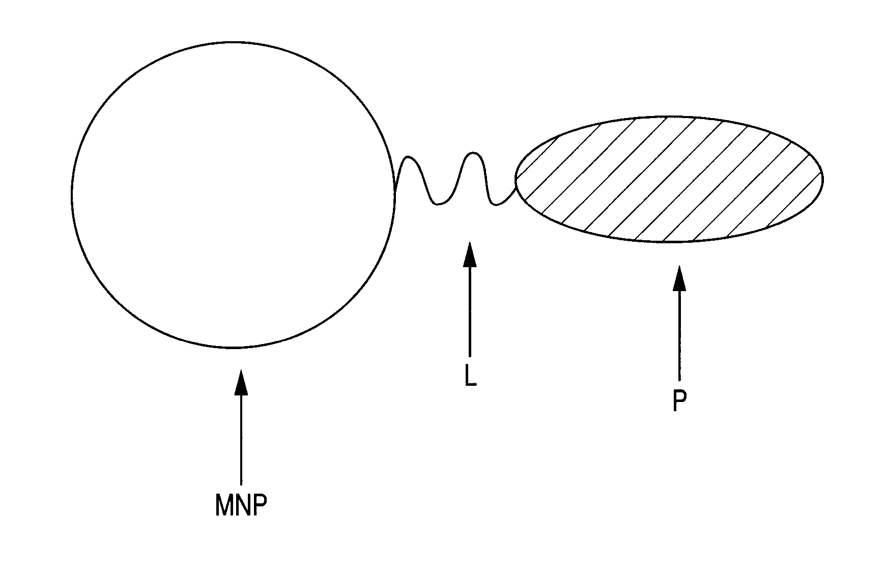 Contrast agent for photoacoustic imaging and photoacoustic imaging method using the same