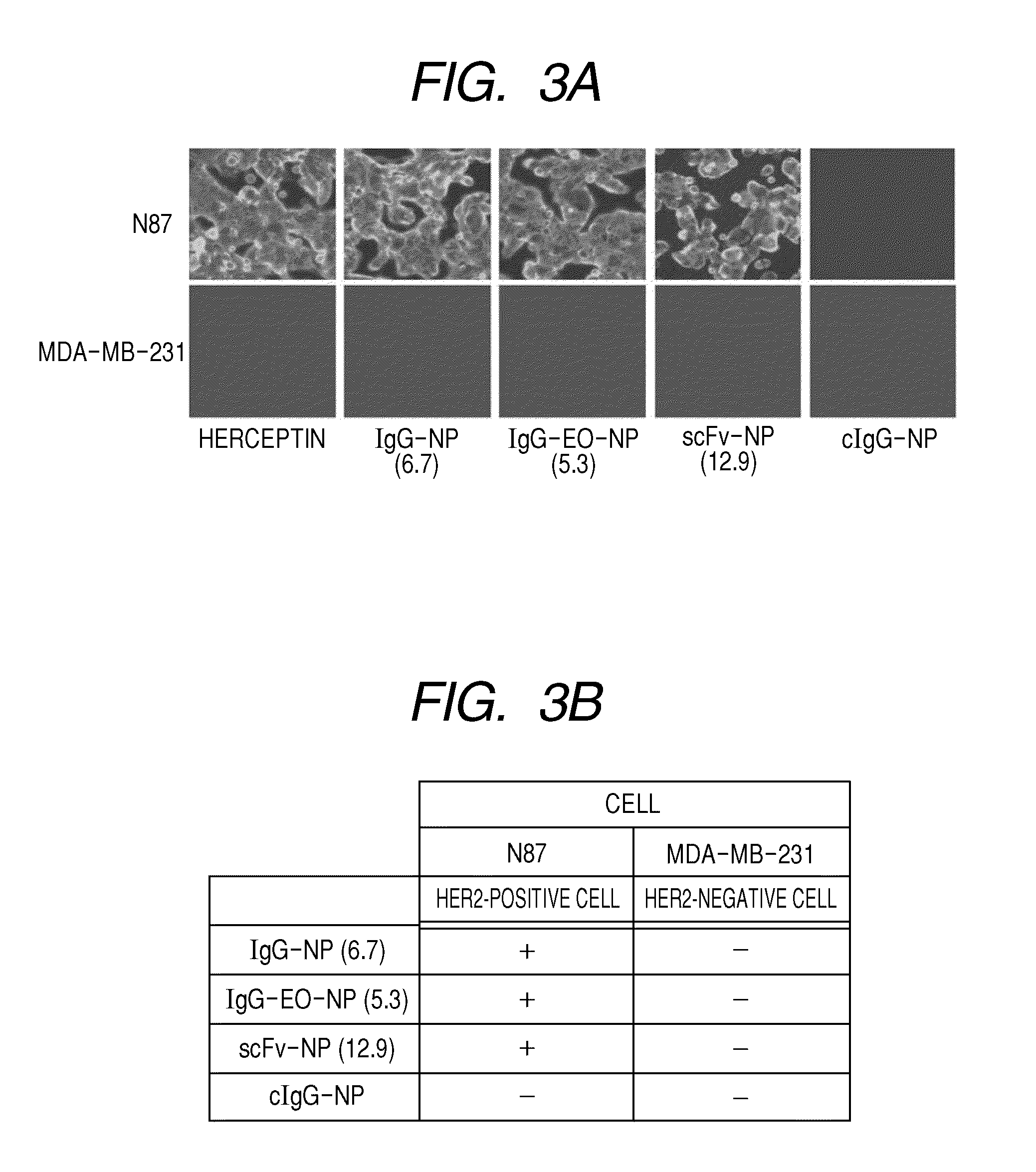 Contrast agent for photoacoustic imaging and photoacoustic imaging method using the same