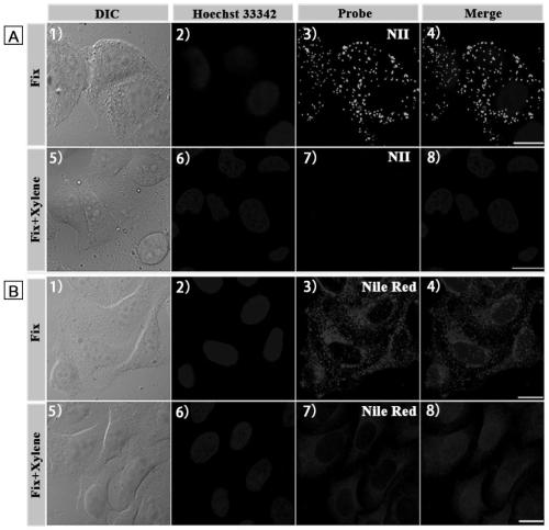 An ultra-selective and amphiphilic lipid droplet fluorescent probe and its application