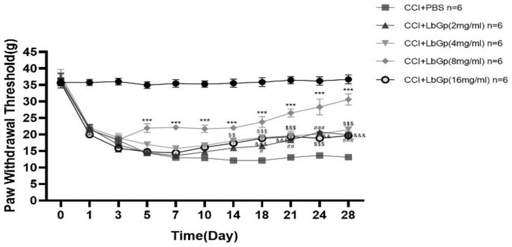 Application of lycium barbarum glycopeptide in preparation of medicine for relieving neuropathic pain