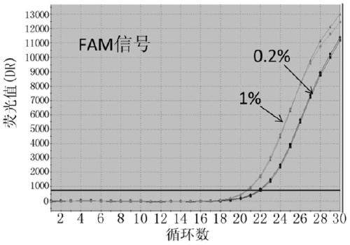 A probe, primer, detection system and kit for detecting egfr gene mutation