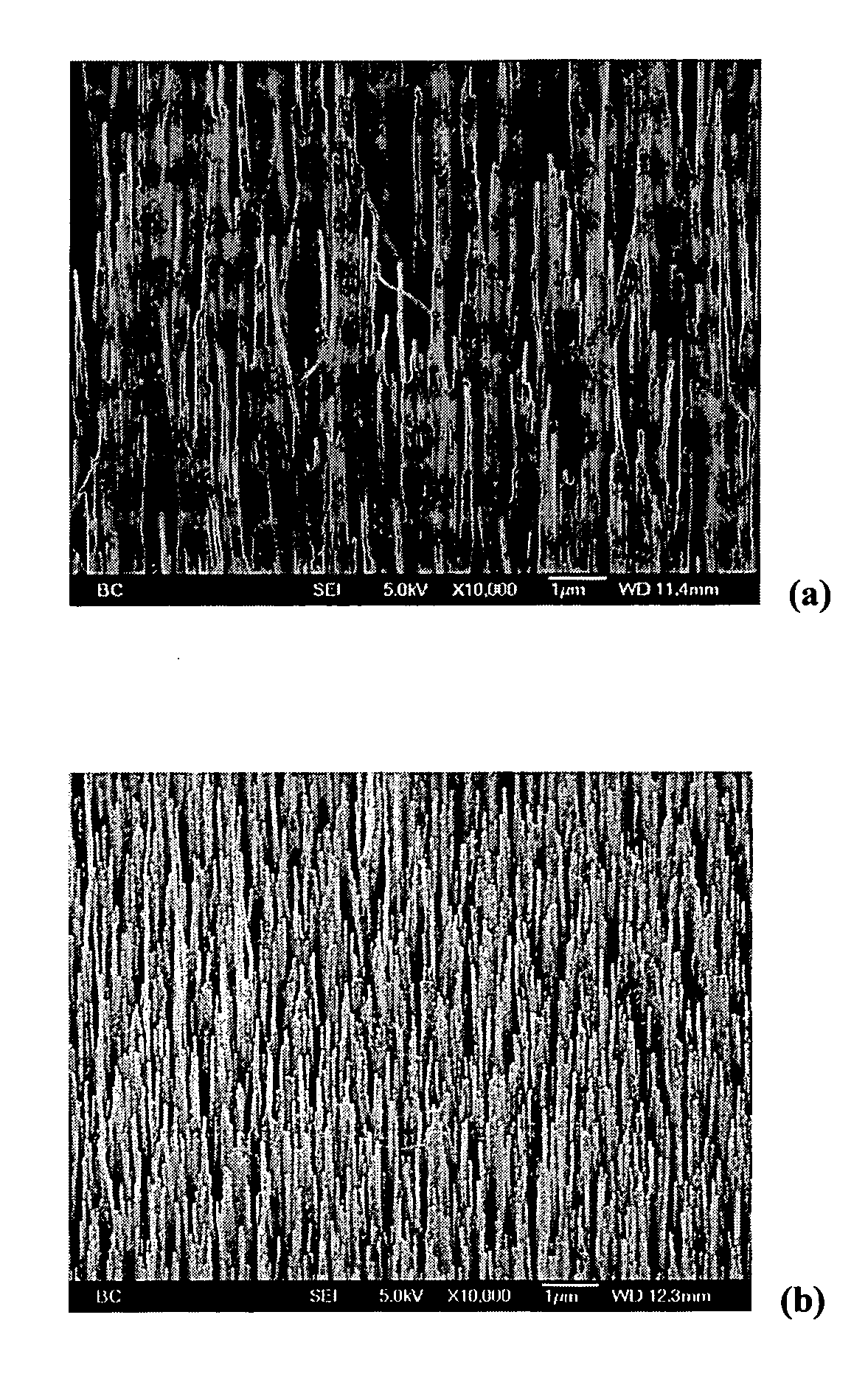 Coated carbon nanotube array electrodes