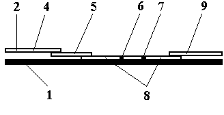 Test strip card based on quantum dot labeling