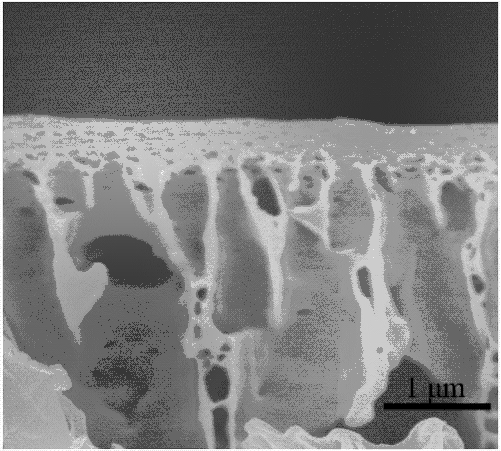 Functionally gradient covalent organic framework membrane as well as preparation and application