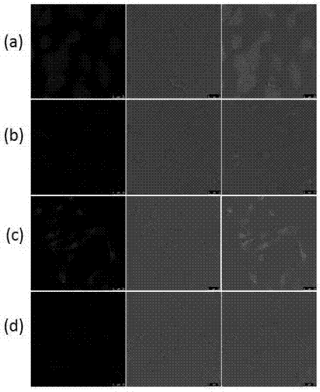 Compound based on aggregation-induced emission and excited state proton transfer and preparation method and application thereof