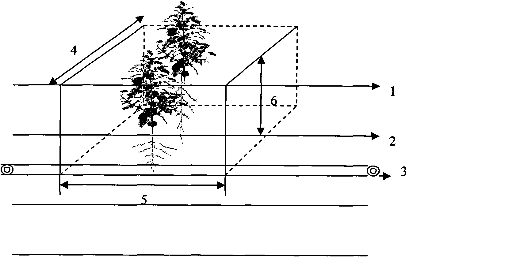 Three-dimensional sampling method applicable to root system research