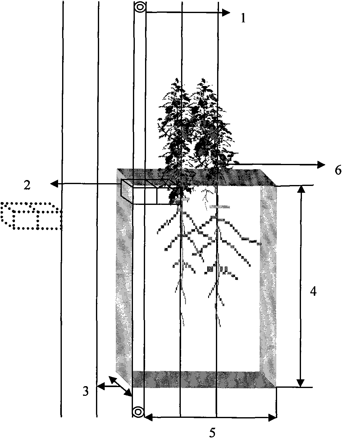 Three-dimensional sampling method applicable to root system research