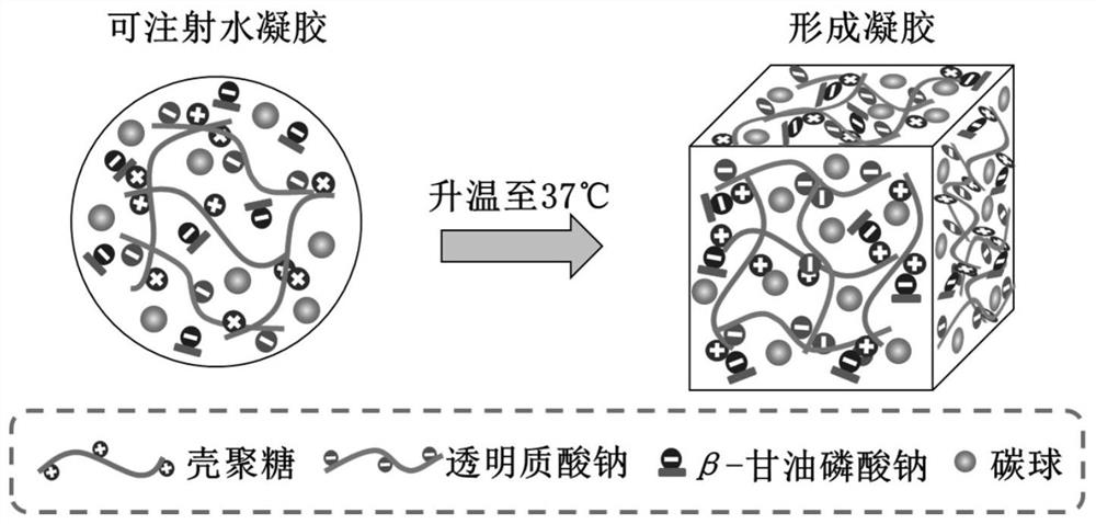 Multifunctional injectable hydrogel for tumor photo-thermal treatment and bone tissue repair and preparation method