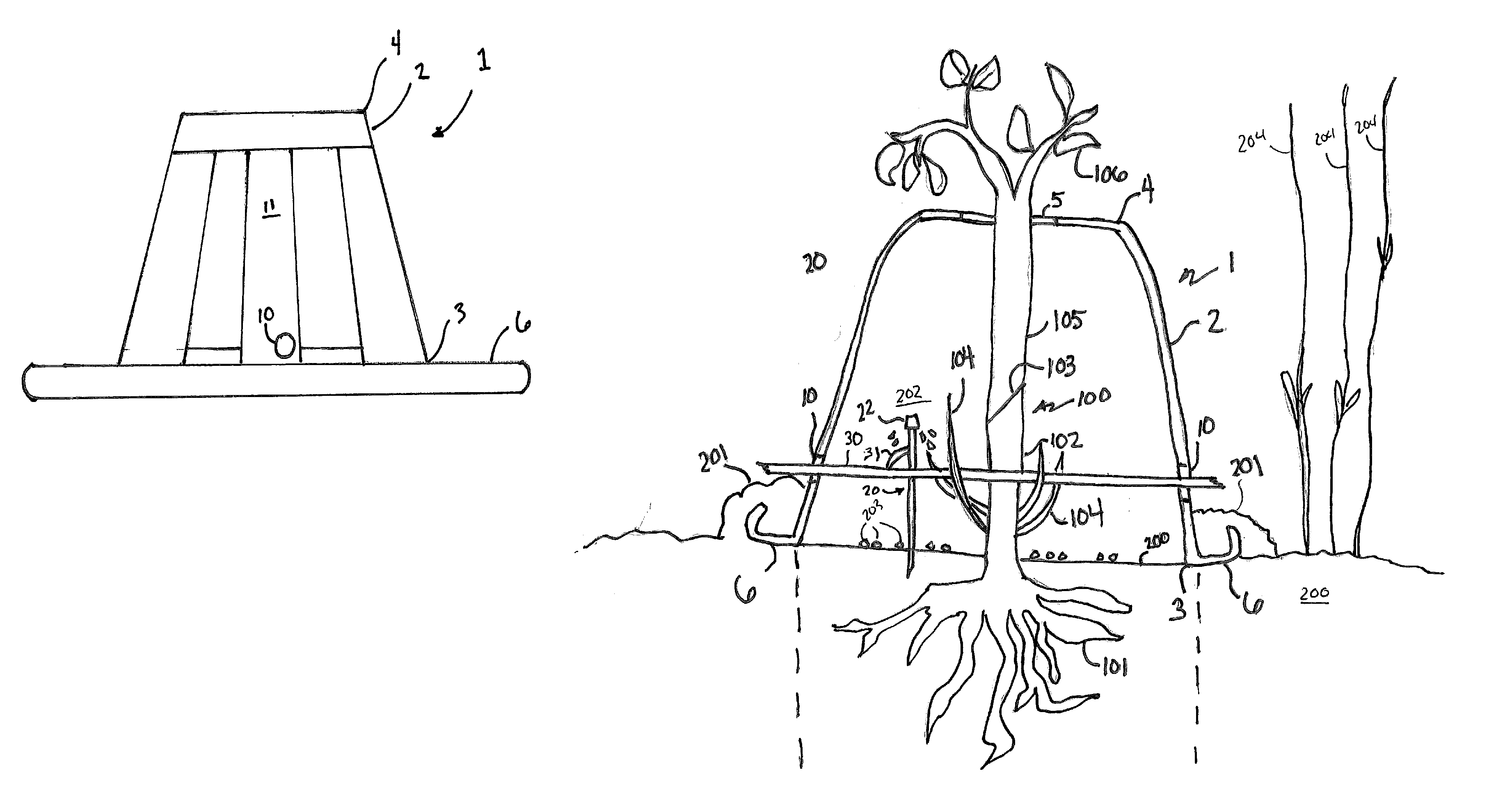 Apparatus and method for cultivating a tree