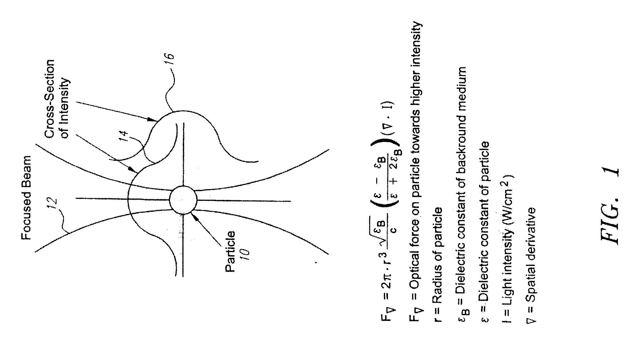 Methods and apparatus for use of optical forces for identification, characterization and/or sorting of particles