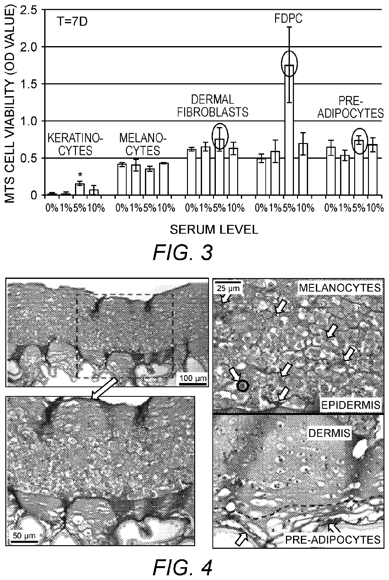 Multi-layer skin substitute products and methods of making and using the same