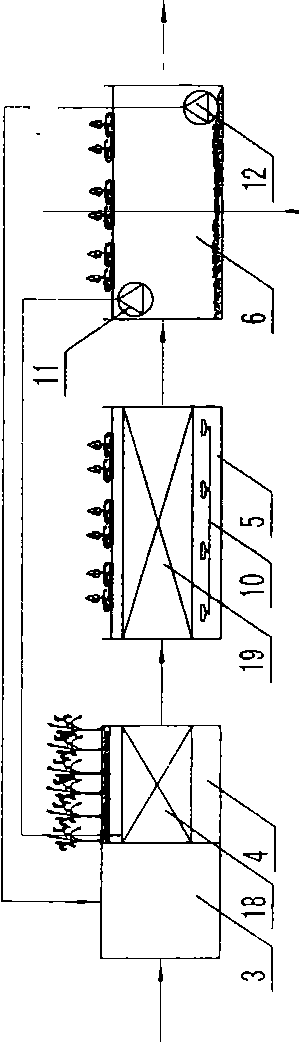 Plant landscape-type sewage ecological treatment technology