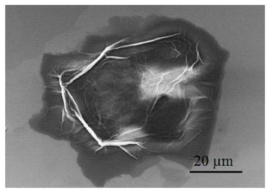 Preparation method of nitrogen-doped reducing graphene oxide aerogel