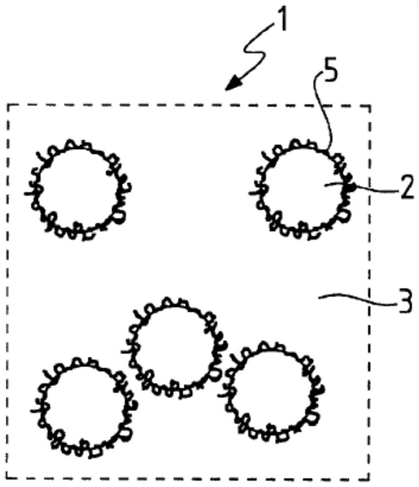 Compound comprising functional agent, and related manufacturing method